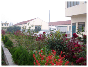 惠州优质钢化涂料工艺